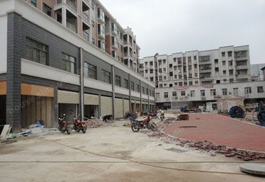 大漢精品建材城 優質木材選購指南