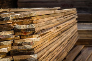 深度解析 為何申請(qǐng)中國(guó)木材網(wǎng)審核未通過(guò)？